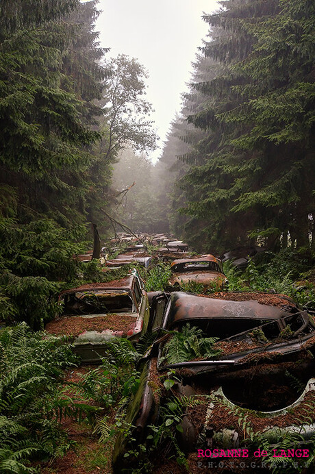 Car Graveyard