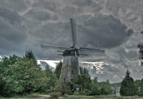 Molen Reek