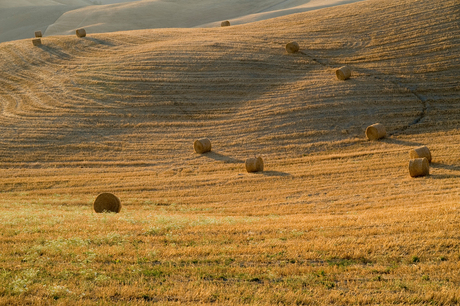 Toscaans landschap