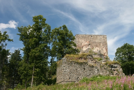 Burg Wittinghausen, Tsjechië
