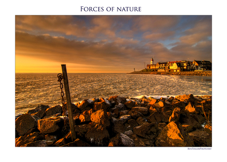 Forces of Nature 5