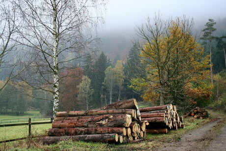 Wolfshagen im Harz