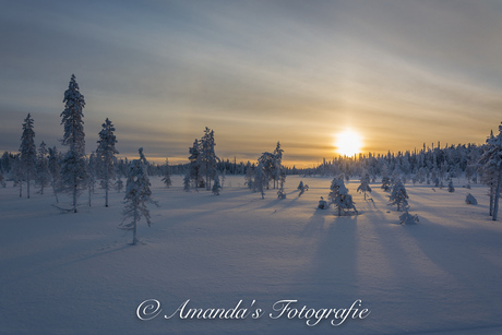 Zonsopkomst Fins-Lapland