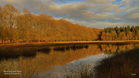 Weerspiegeling