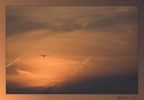 Ondergang in de wolken