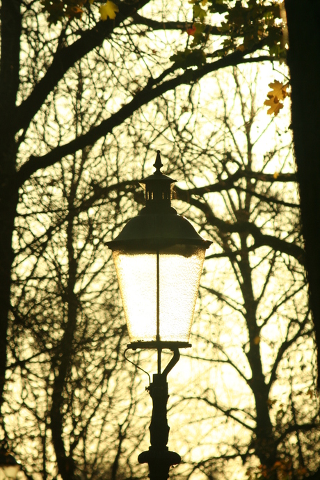 Autumn in Amersfoort