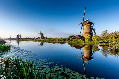 De Nederwaardse zijde van Kinderdijk