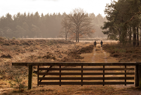 Echtense zand