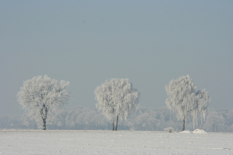 winter in remunj