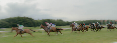 Paardenrace