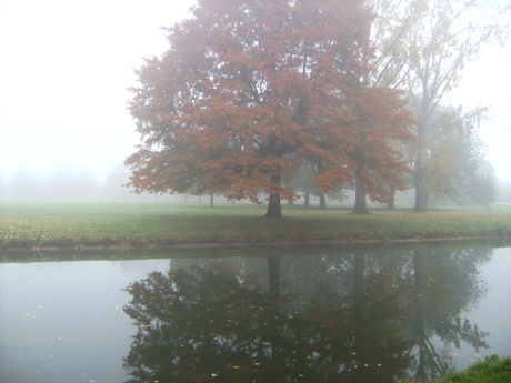 spiegeltje in het water