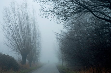 Hardlopen in de mist