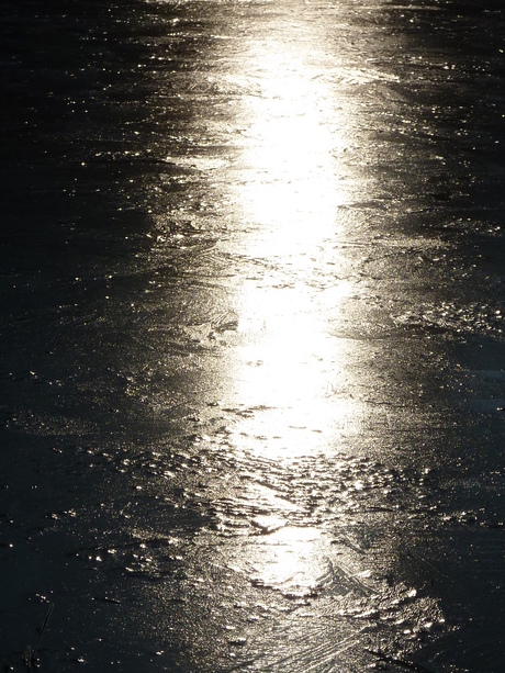 zon op ijs
