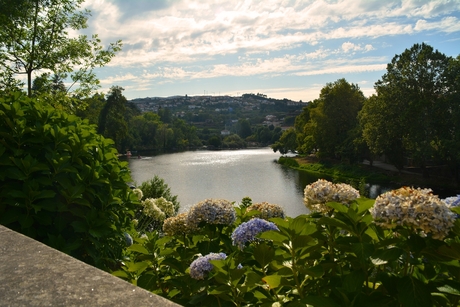 calm river