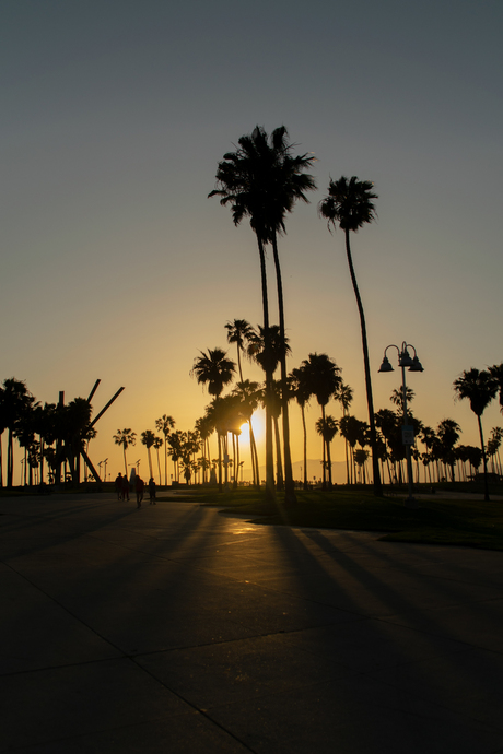 Venice sunset