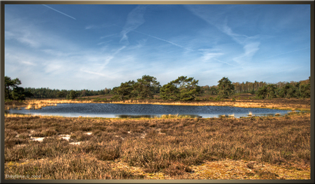 Heide Meertje landgoed Tongeren