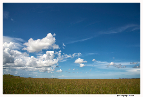 Everglades