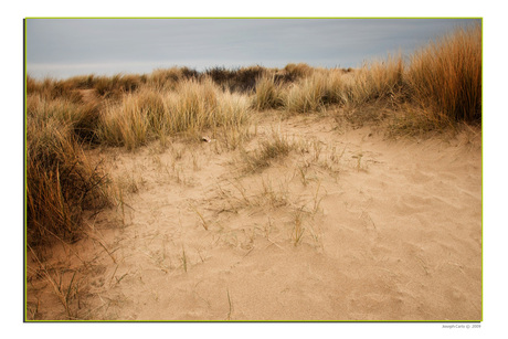 winterse duinen