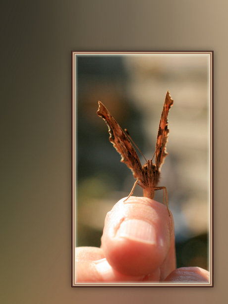 Gift van Moeder Natuur