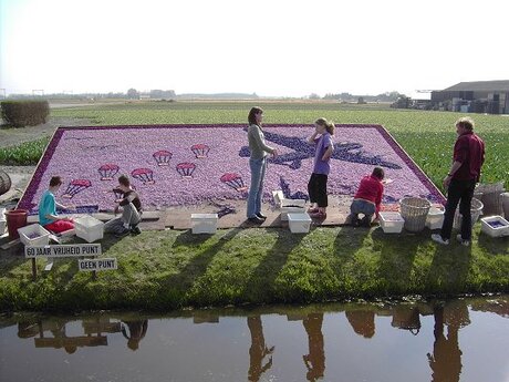 De Zilk bloemenmozaiek.