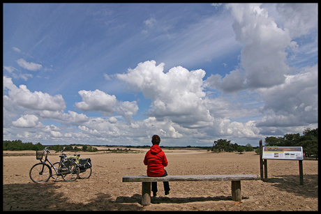 Loonse en Drunenseduinen