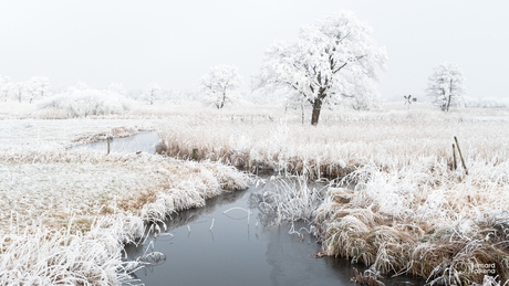 Winterlandschap Giethoorn