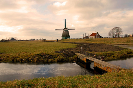 Molen in Volendam 2