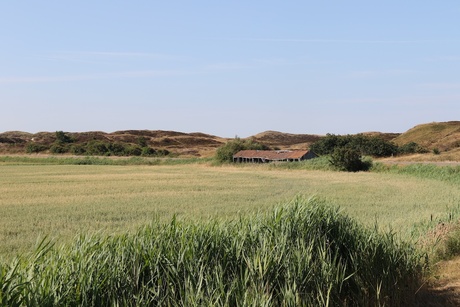 Texel's landsschap