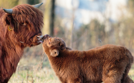 Moeder en kind liefde