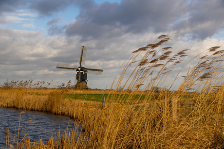 Broekmolen bij Donkse Laagten