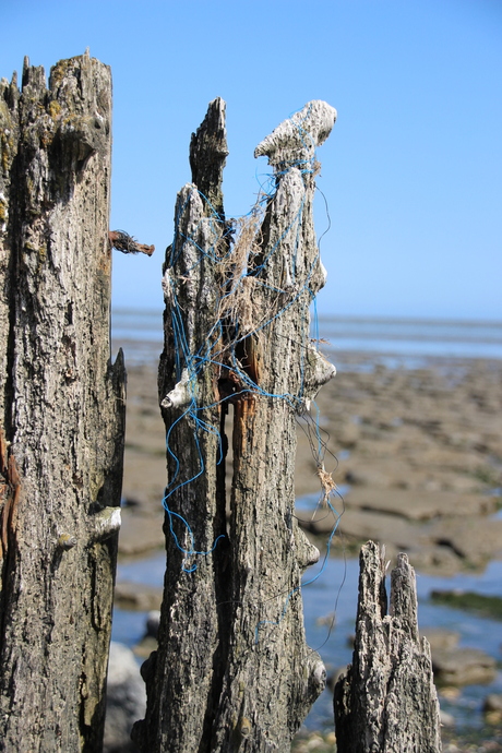 Waddenzee Paal