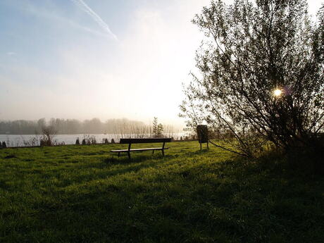 Leeg bankje bij het Nieuwe Meer