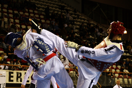 NK taekwondo 2011