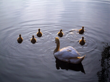 Familie-uitje