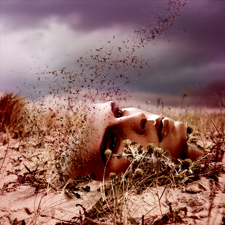 . . . Plastic Death . . .