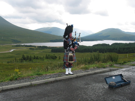 Piper in Glencoe