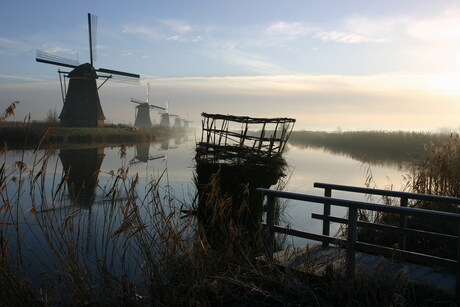 Kunst en natuur