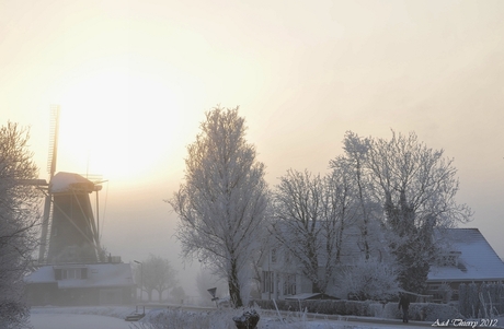 Winter in de polder 2