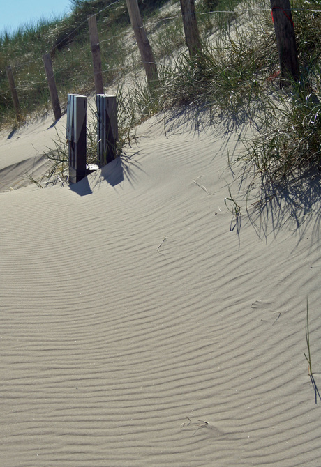 Strand Castricum