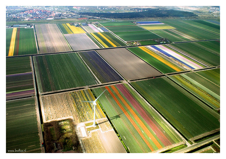 Net als vogels naar Nederland kijken