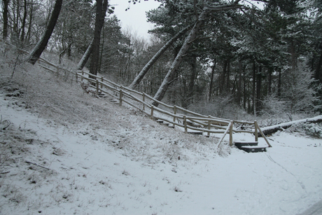 Sneeuw in het Heemkerkerduin