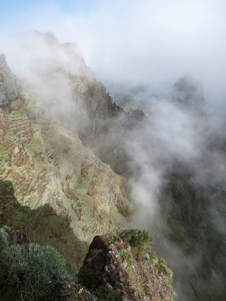 Madeira on the rocks, the misty rocks.
