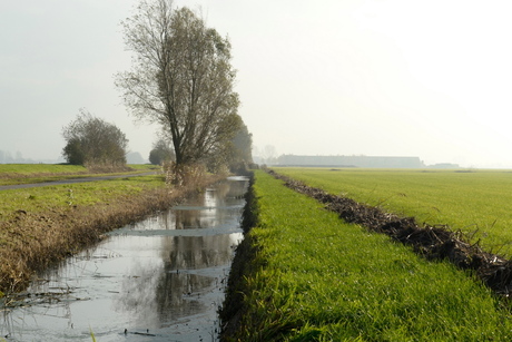 Herfst horizon