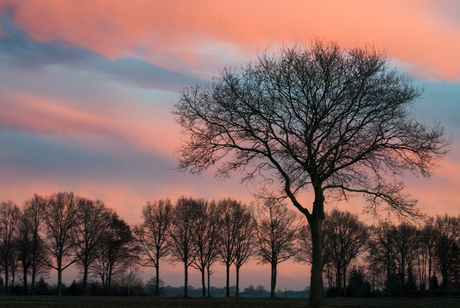 kleurrijke avond, 8 dec