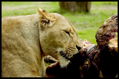 Wat smaakt dit naar meer...