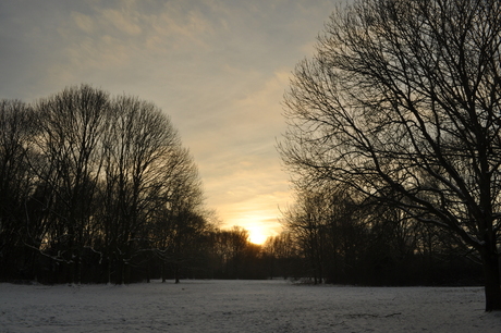 Stadspark Groningen