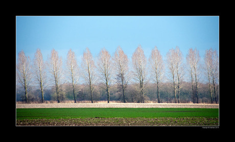 Landschapslijnen