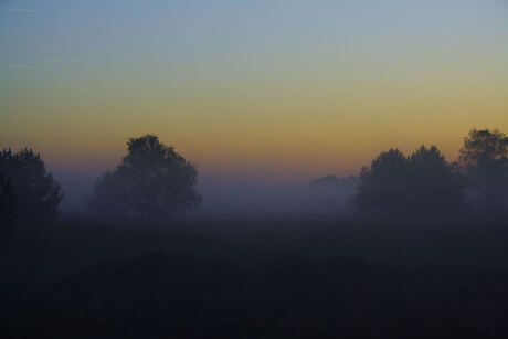 Foggy Morning