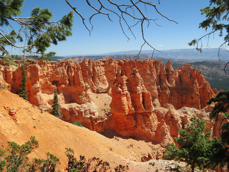 Black Birch Canyon