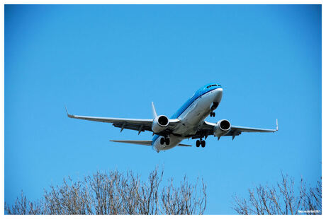 Laag over de bomen.......